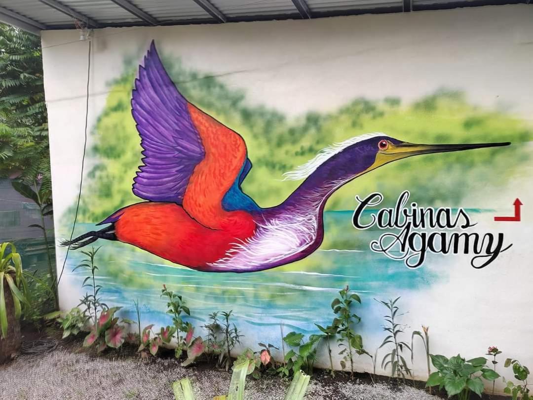 Cabinas Agamy Tortuguero Exterior photo