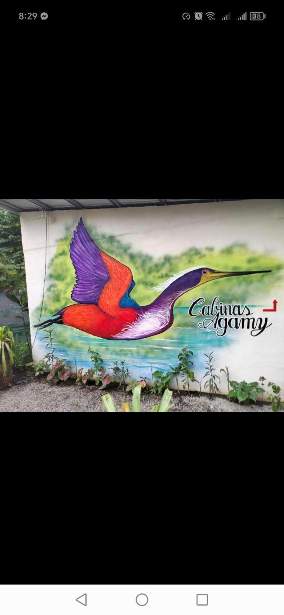 Cabinas Agamy Tortuguero Exterior photo