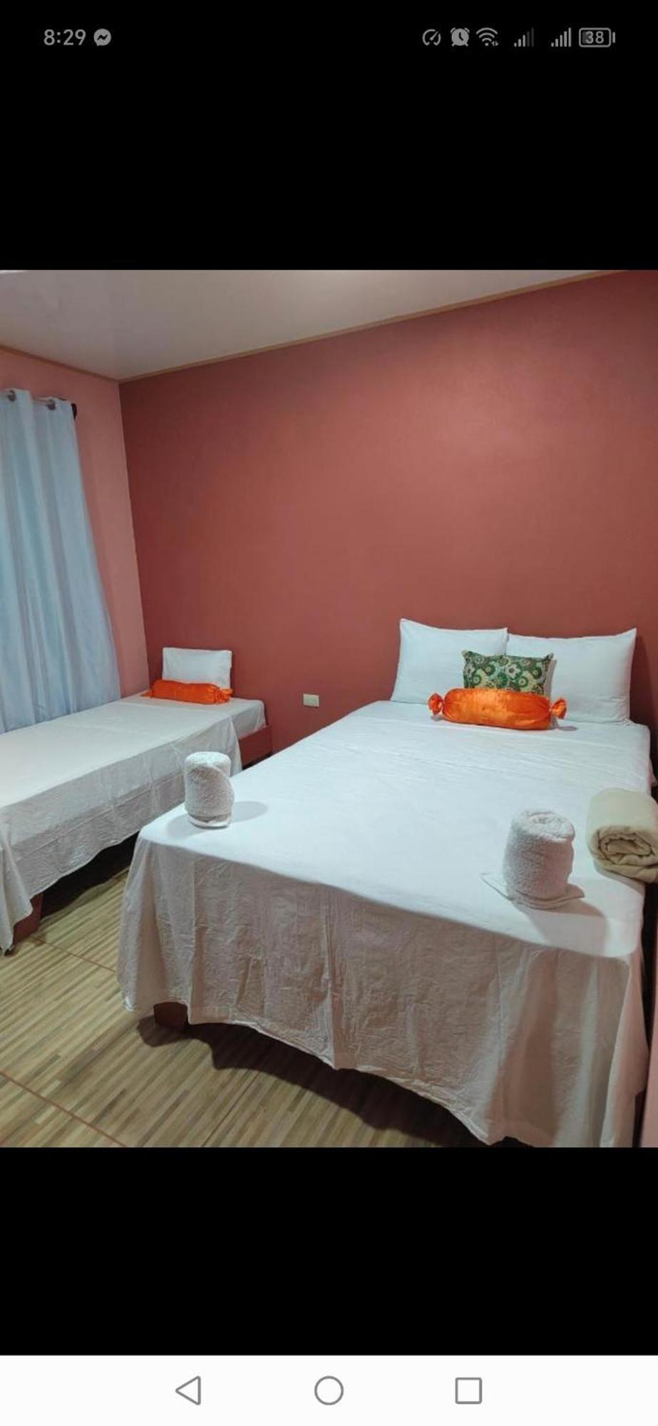 Cabinas Agamy Tortuguero Exterior photo