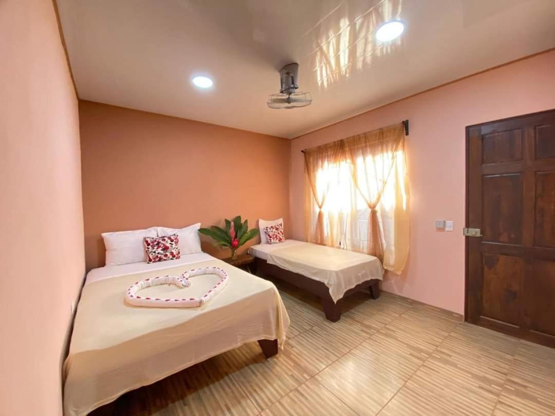 Cabinas Agamy Tortuguero Room photo