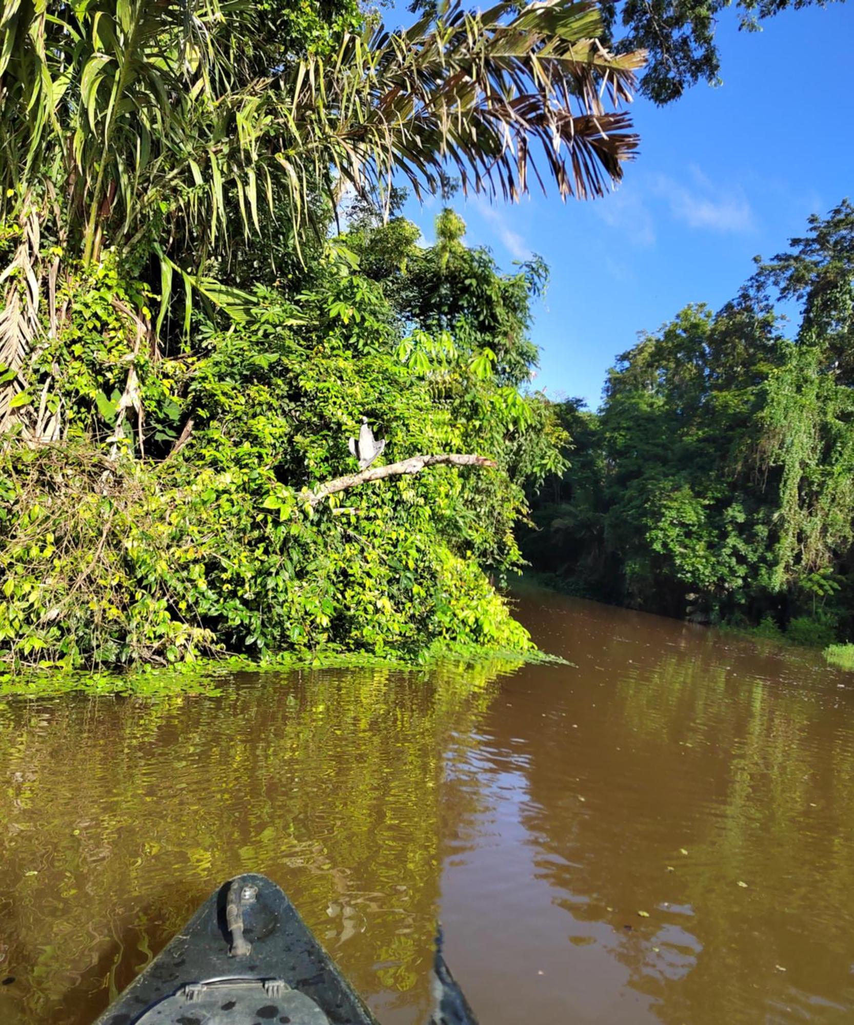 Cabinas Agamy Tortuguero Exterior photo