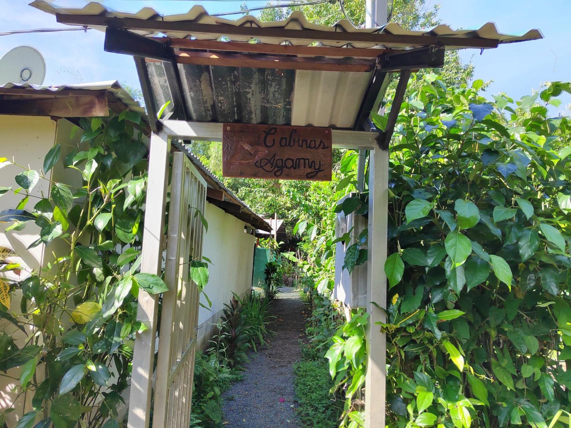 Cabinas Agamy Tortuguero Exterior photo