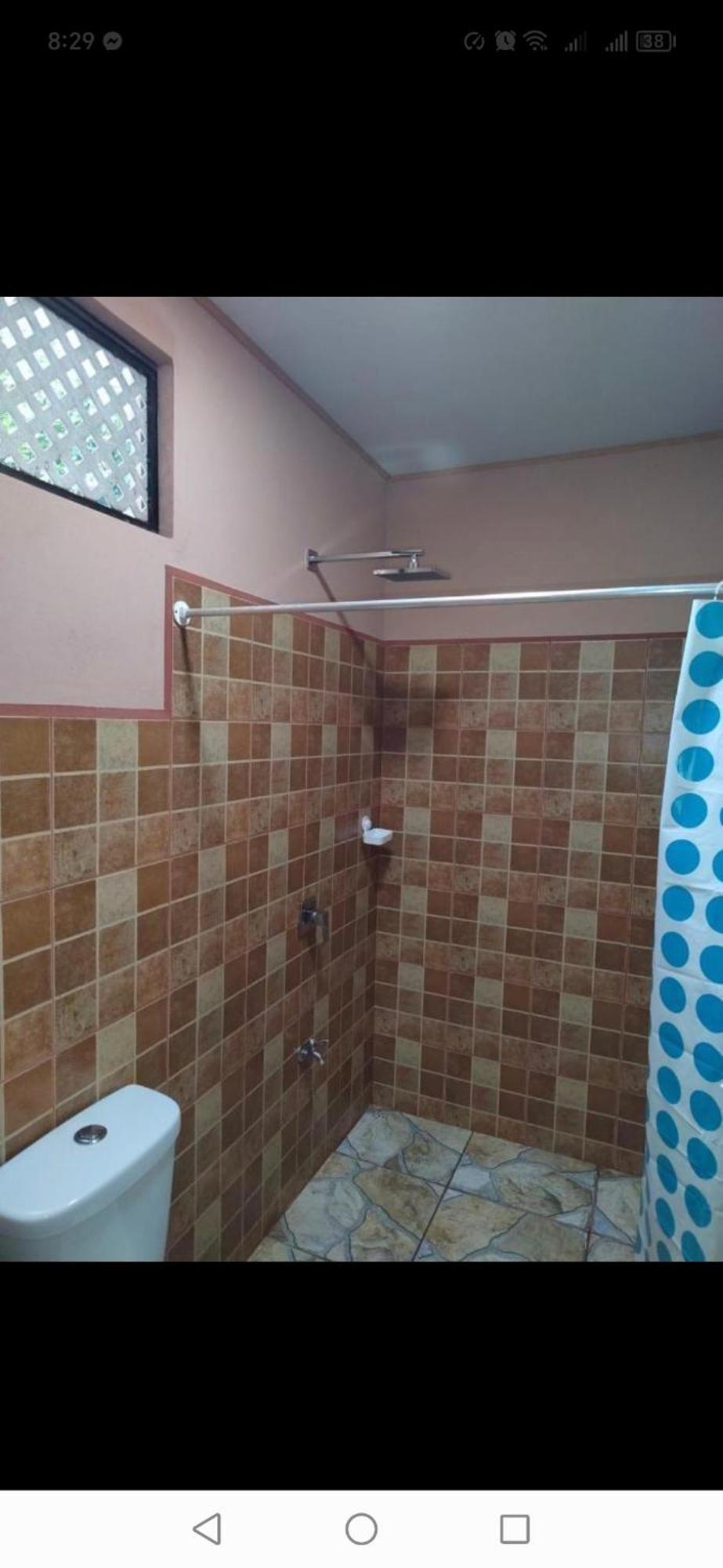 Cabinas Agamy Tortuguero Room photo